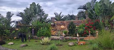 Hotel Bafana International