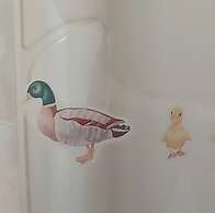 The Static Cowavan Towyn