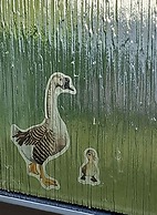 The Static Cowavan Towyn