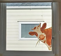 The Static Cowavan Towyn