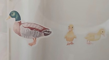 The Static Cowavan Towyn