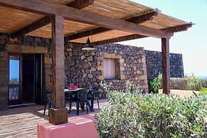 Dammusi Sotto le Stelle