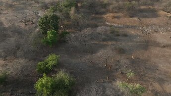 Hiran Gir Retreat Sasan Gir