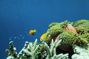 Ocean Pearl Fuvahmulah