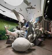 Exclusive Apartment in Calzada De Amador