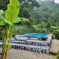 The Cozy Acorn Resort