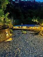 The Cozy Acorn Resort