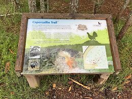 Highland Chalet Retreat in Boat of Garten