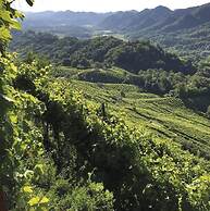 AGRITURISMO B&B CASA BORTOLIN