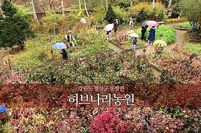 Galaxy x Hotel type Caravan Glamping&Pension