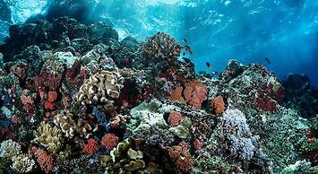 Amazing House With Private Pool in La Veleta