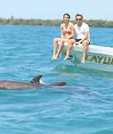 Amazing House With Private Pool in La Veleta