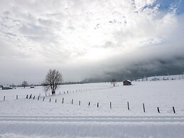 Farmhouse With Swimming Pond and hot tub