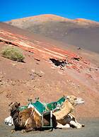 Villa Gaida in Puerto Calero