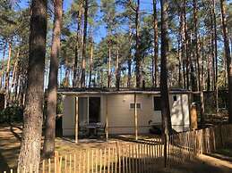 Chalet With Garden in Antwerp Kempen