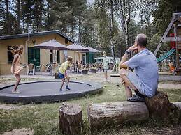 Chalet With Garden in Antwerp Kempen