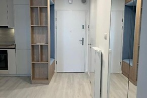 Comfortable Apartment for 4 People, Rogowo