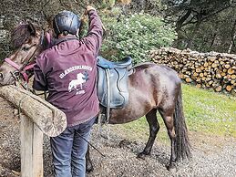 Cabin for 4 Persons in Camping Resort, Pandrup