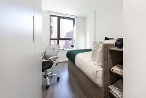 Student Only Hollis Croft