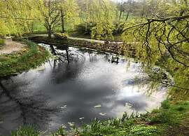 Holiday Home in Appelscha With Garden