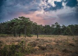 Holiday Home in Appelscha With Garden
