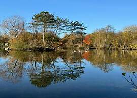 Holiday Home in Appelscha With Garden