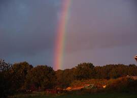 Holiday Home in Appelscha With Garden
