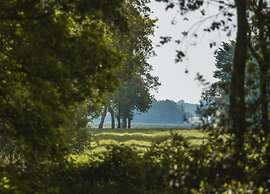 Holiday Home in Appelscha With Garden