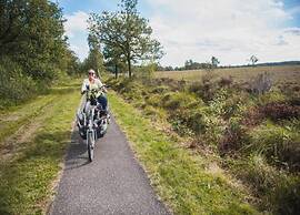Holiday Home in Appelscha With Garden