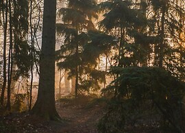 Holiday Home in Appelscha With Garden