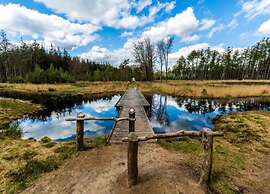 Holiday Home in Appelscha With Garden