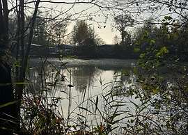 Holiday Home in Appelscha With Garden