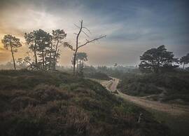 Holiday Home in Appelscha With Garden