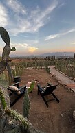 Hotel coyote