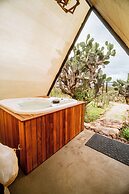 Hotel coyote