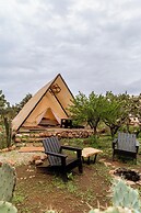 Hotel coyote