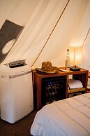 Hotel coyote