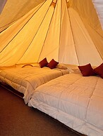 Hotel coyote