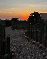 Hotel coyote