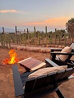 Hotel coyote