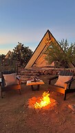 Hotel coyote