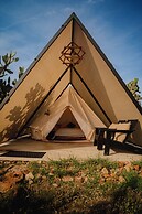 Hotel coyote