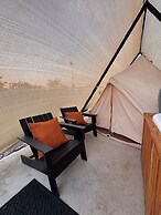 Hotel coyote