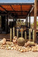 Hotel coyote