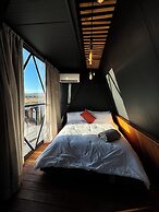 Hotel coyote