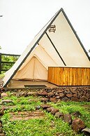 Hotel coyote