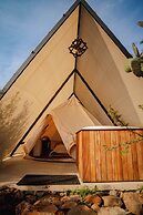Hotel coyote