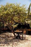 Hotel coyote