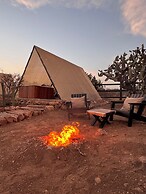 Hotel coyote