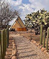 Hotel coyote